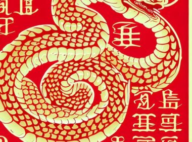 Opis chińskiego znaku zodiaku: Wąż