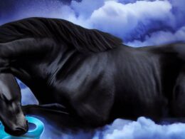 Sennik czarny koń znaczenie snu