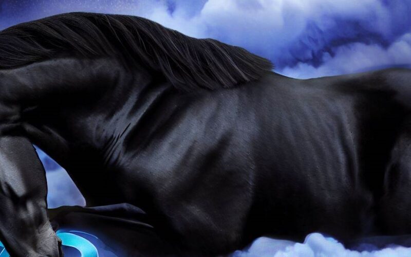 Sennik czarny koń znaczenie snu
